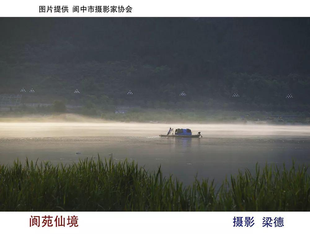 探索金毛多久洗一次澡的知识星球平台,获取一站式深度学习经验分享